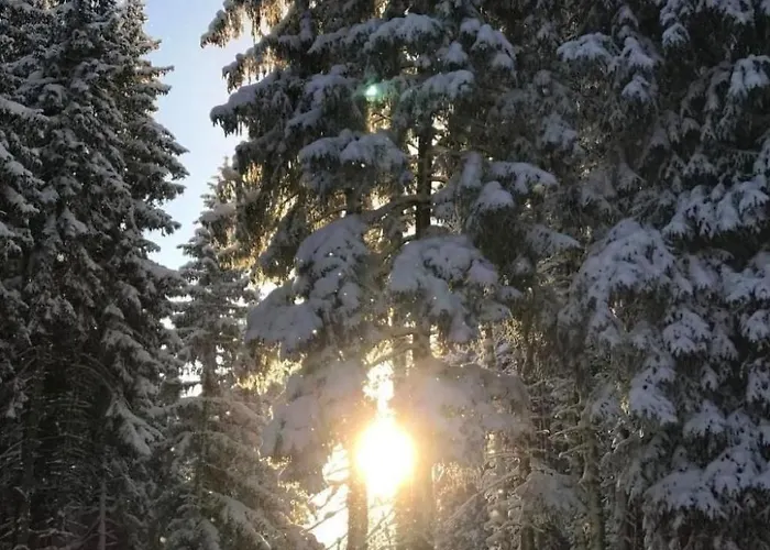 Apartment By Interhome Schluein